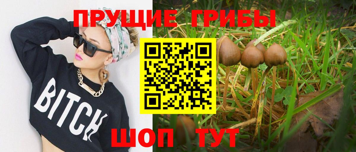Галлюциногенные грибы MAGIC MUSHROOMS  Псилоцибиновые грибы GOLDEN TEACHER  Вход с VPN  Белорецк 