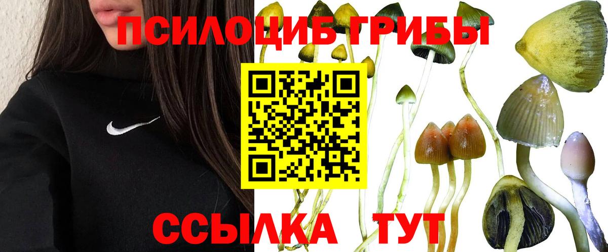 Галлюциногенные грибы мицелий Белорецк